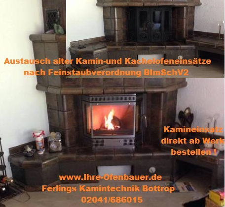 Kamineinsatz austauschen nach BImschV2